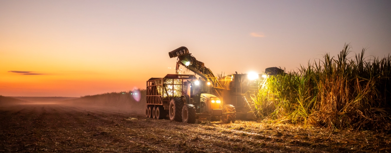 Soluções para operações agrícolas: melhoria do solo, matéria-prima sustentável e manutenção dos negócios