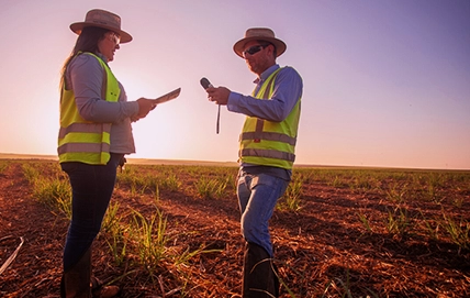 Produtividade Agrícola: Estratégias Eficientes