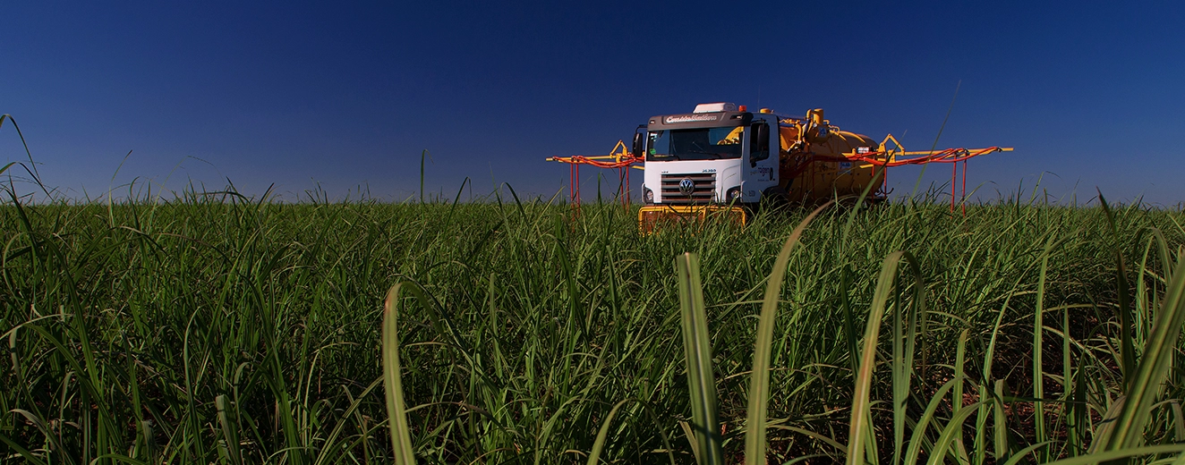 Desenvolvimento sustentável: boas práticas para empresas