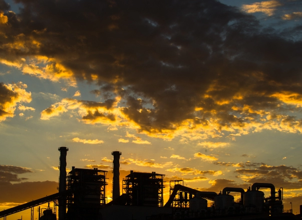 A circularidade faz parte da natureza do setor sucroenergético. Por meio das melhores práticas, a Raízen é destaque nesse modelo.