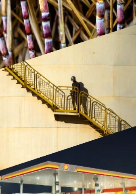 Relatório Integrado